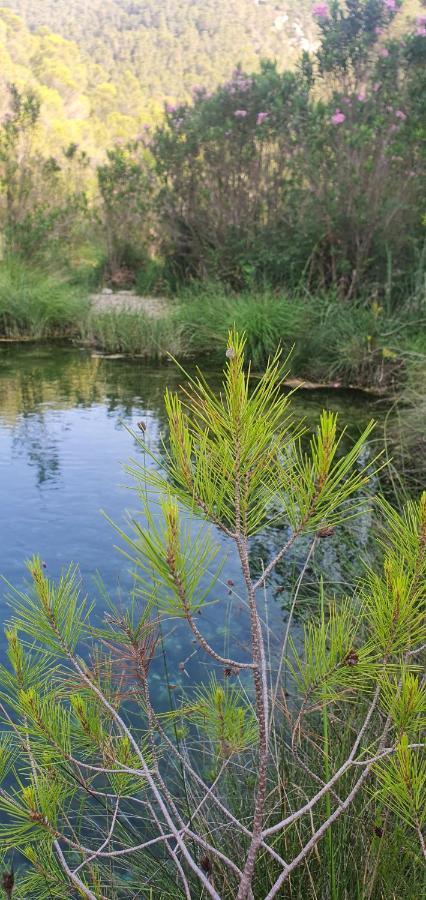 La Chirrichana Bicorp Εξωτερικό φωτογραφία