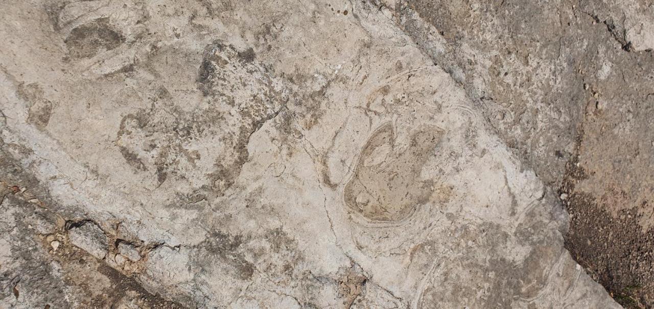La Chirrichana Bicorp Εξωτερικό φωτογραφία